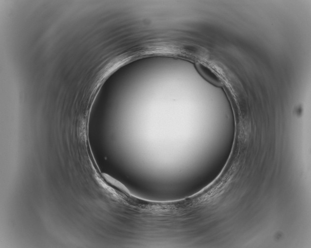 X0000096141433200801251030