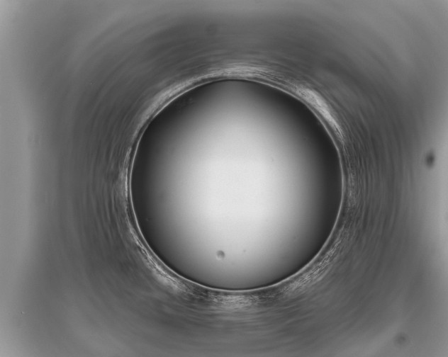 X0000096141436200801251030