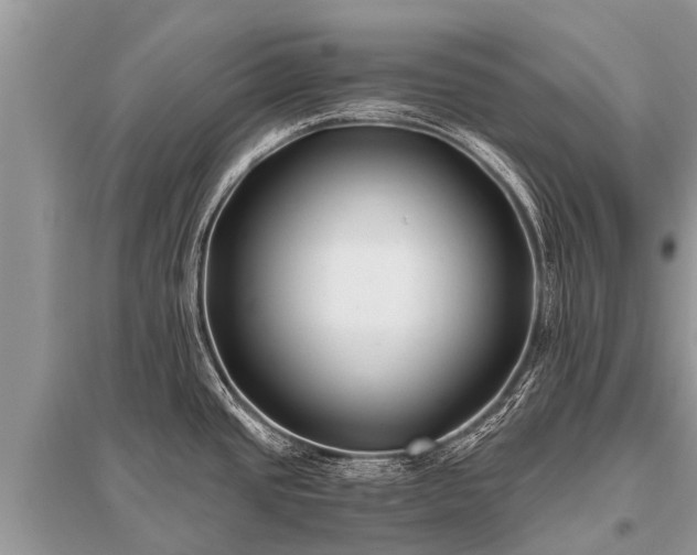 X0000096141437200801251030