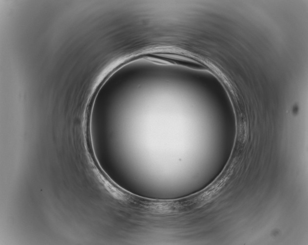 X0000096141438200801251030