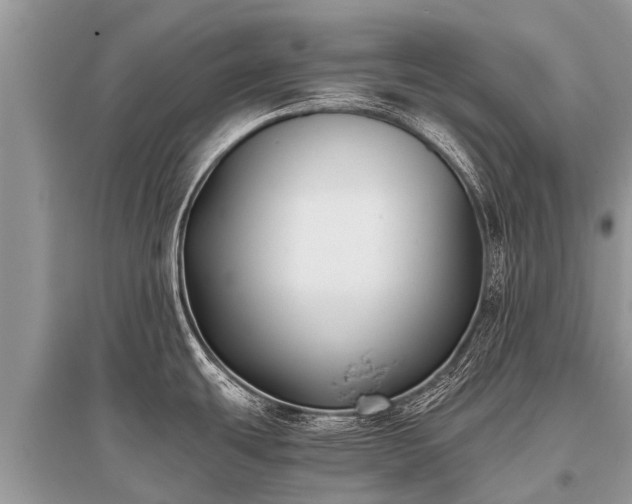 X0000096141439200801251030