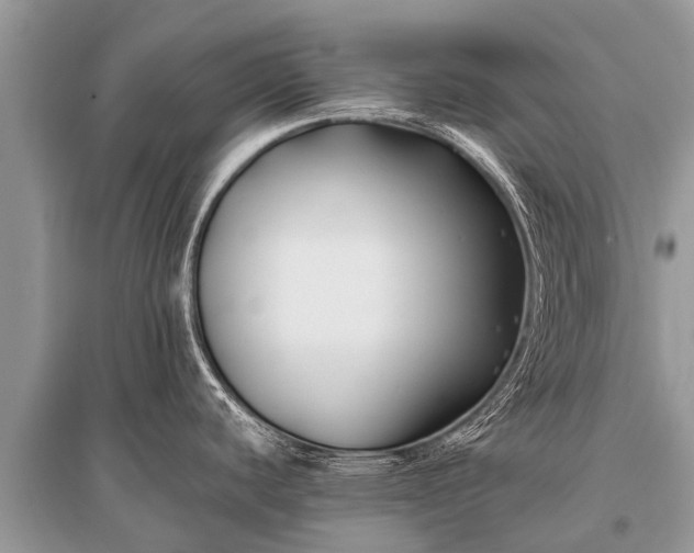X0000096141440200801251030