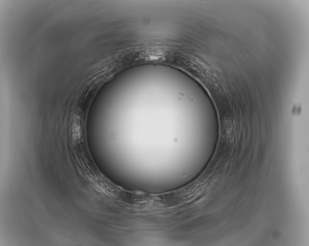 X0000096141442200801251030