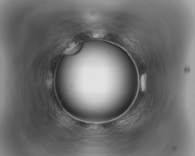 X0000096141443200801251030