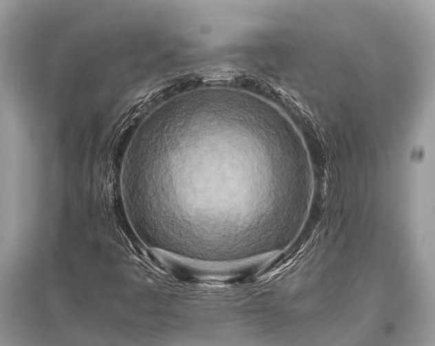 X0000096141445200801251029