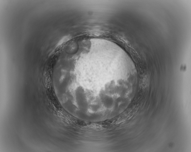 X0000096141446200801251029