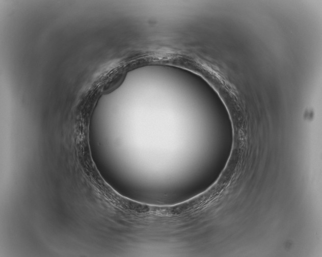 X0000096141447200801251029