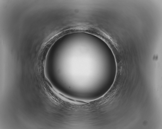 X0000096141448200801251029