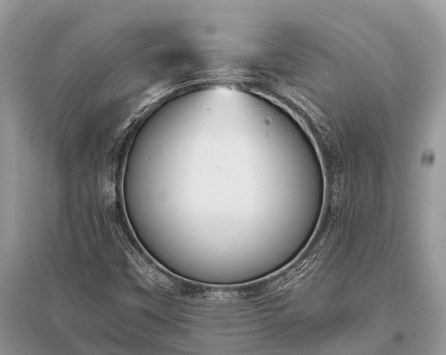 X0000096141451200801251029