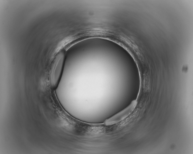X0000096141453200801251029