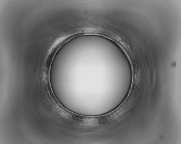 X0000096141454200801251029