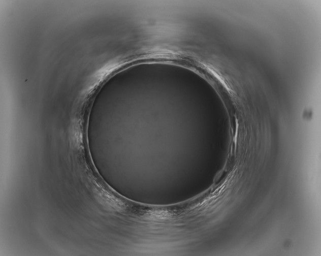X0000096141455200801251029