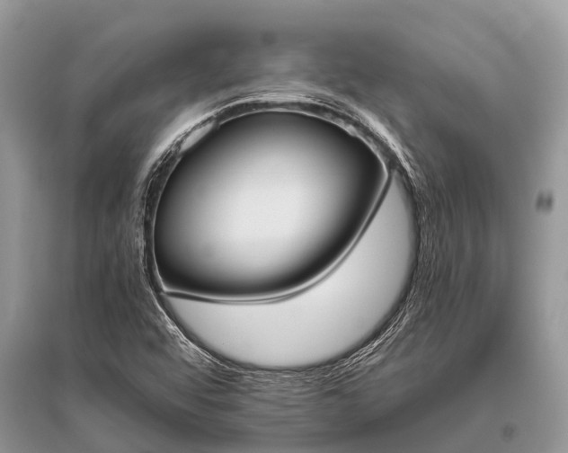 X0000096141456200801251029