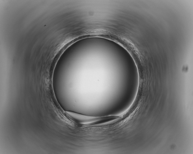 X0000096141457200801251029