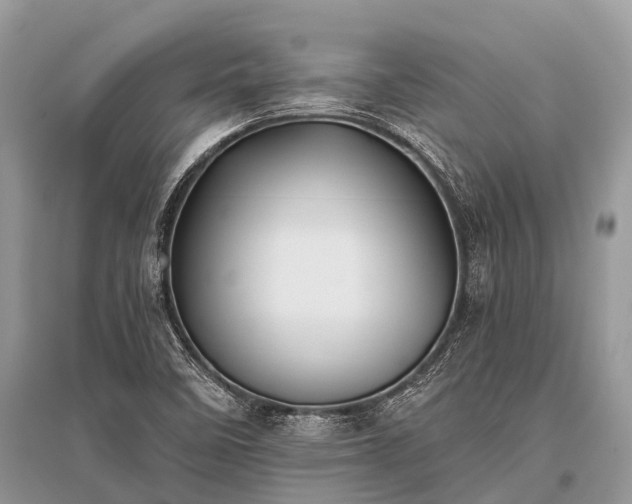 X0000096141458200801251029