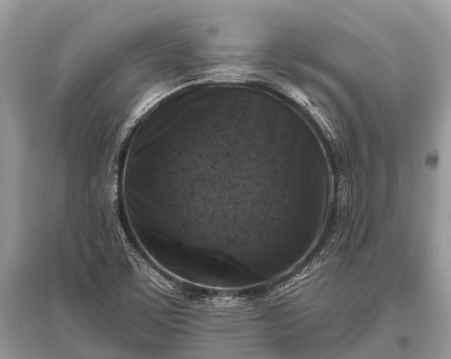 X0000096141459200801251029