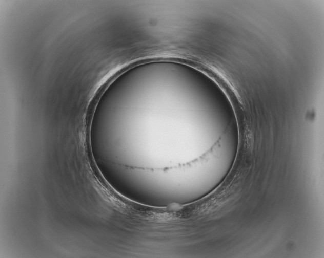 X0000096141460200801251029