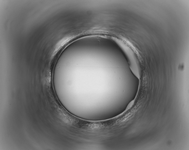 X0000096141461200801251029
