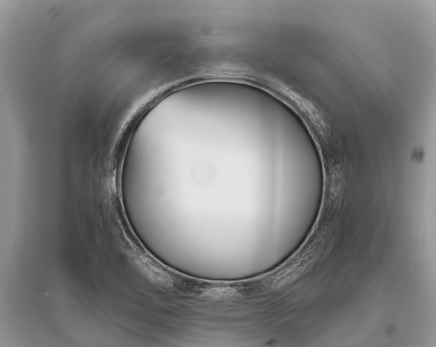 X0000096141462200801251029