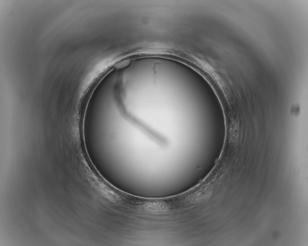X0000096141464200801251029