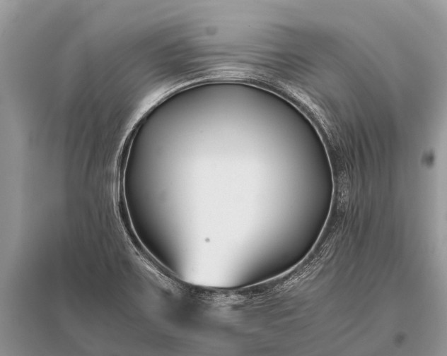 X0000096141467200801251029