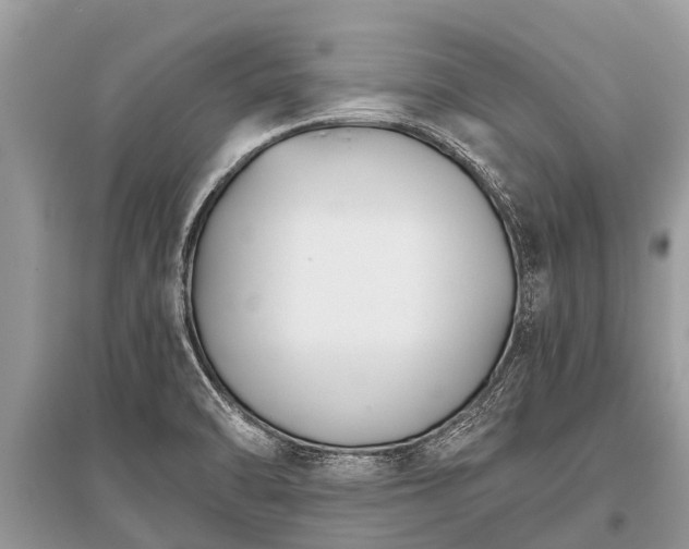 X0000096141470200801251029