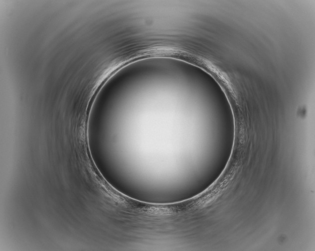 X0000096141473200801251029