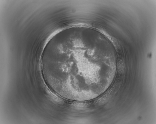 X0000096141474200801251029