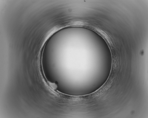 X0000096141475200801251029