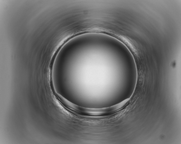 X0000096141476200801251029