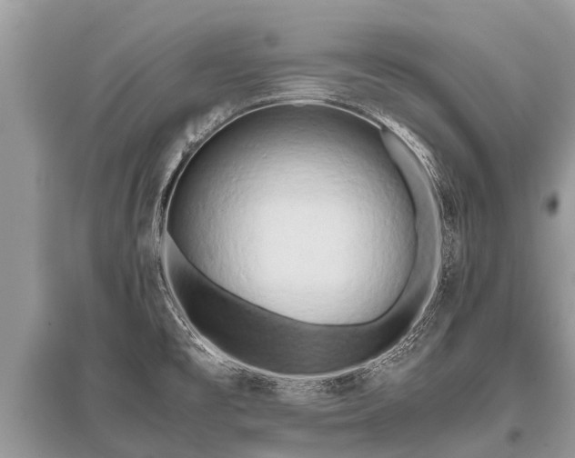 X0000096141477200801251029