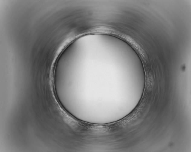 X0000096141478200801251029