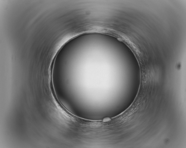 X0000096141479200801251029