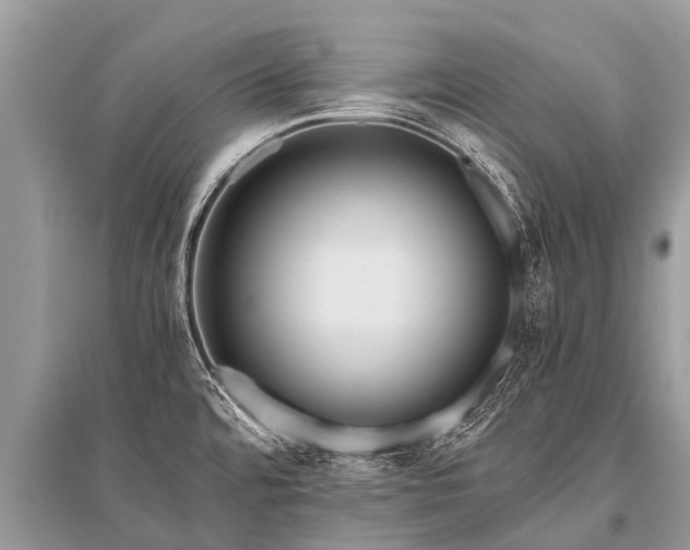 X0000096141480200801251029