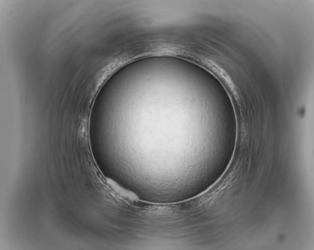 X0000096141481200801251029