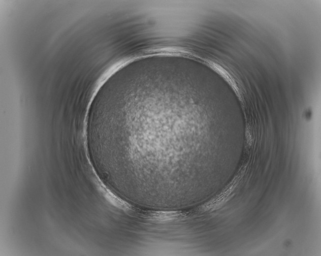 X0000096141482200801251029