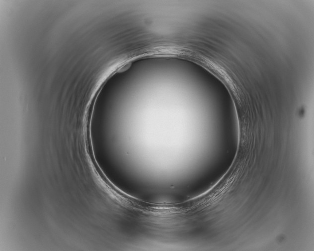 X0000096141483200801251029