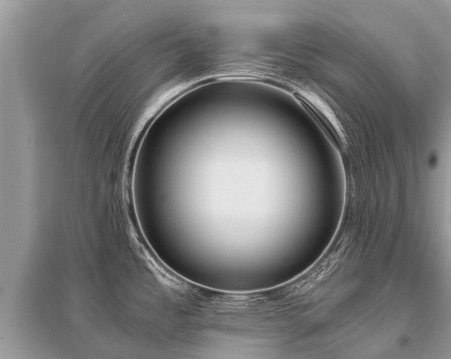 X0000096141485200801251029