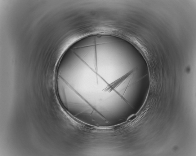 X0000096141487200801251029