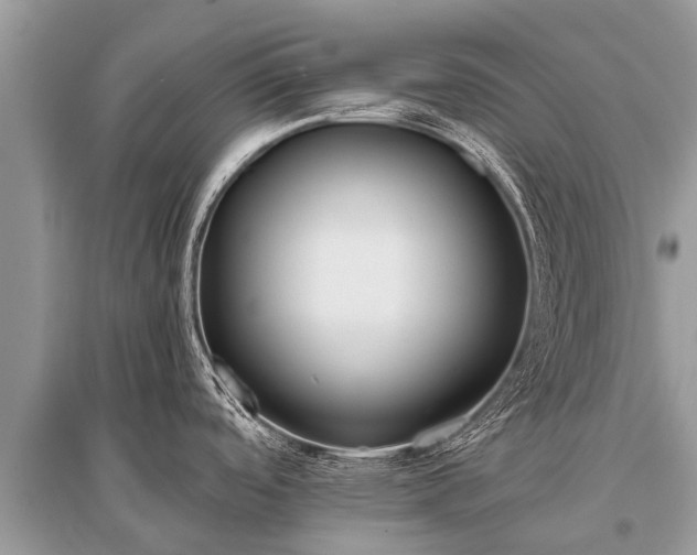 X0000096141488200801251029