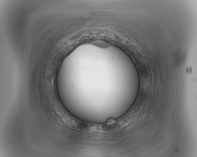 X0000096141489200801251028