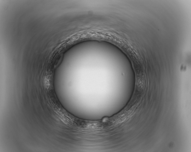 X0000096141490200801251028