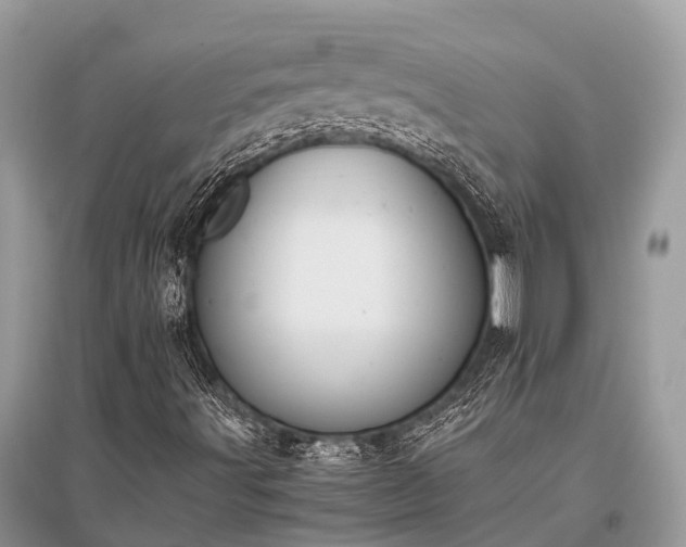 X0000096141491200801251028