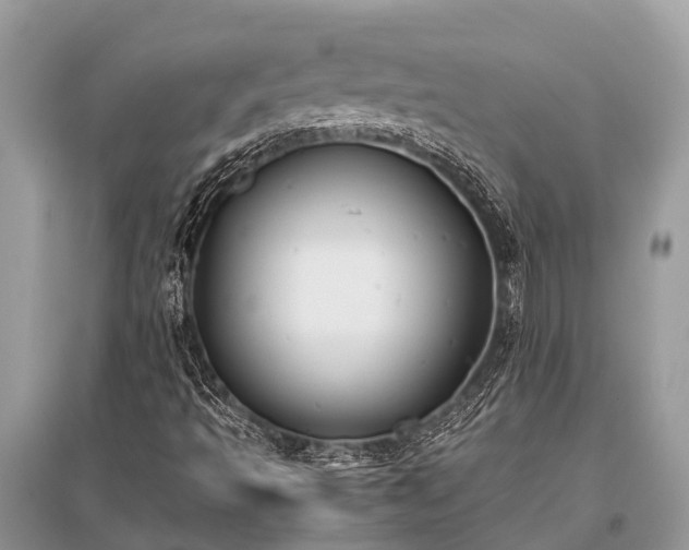 X0000096141493200801251028