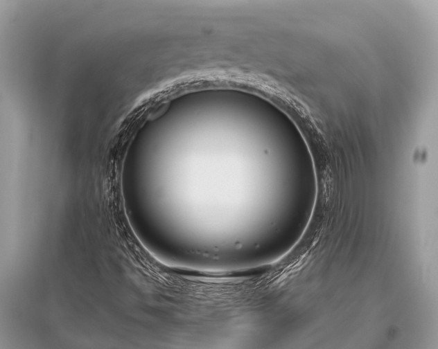 X0000096141494200801251028