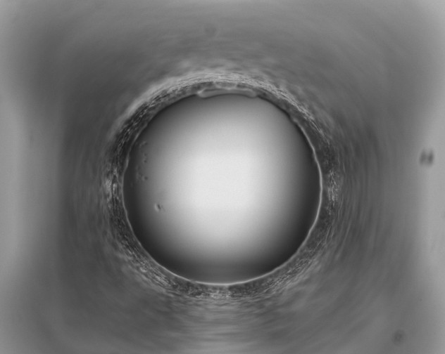 X0000096141495200801251028