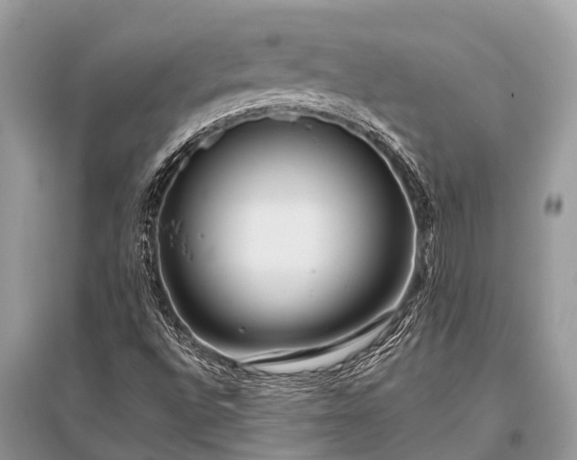 X0000096141496200801251028