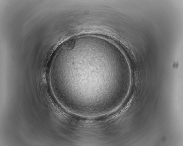 X0000096141497200801251028