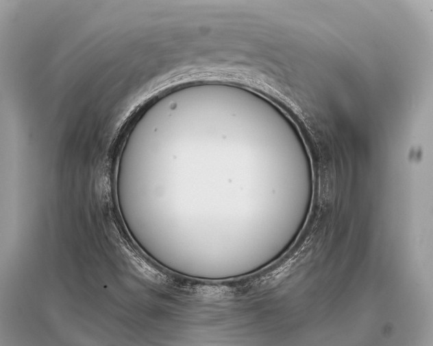 X0000096141498200801251028