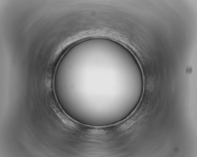 X0000096141499200801251028